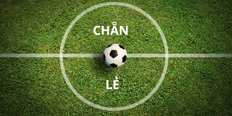 Tìm hiểu định nghĩa kèo chẵn lẻ là gì?