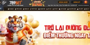 Giới thiệu thông tin về nhà cái 789Bet