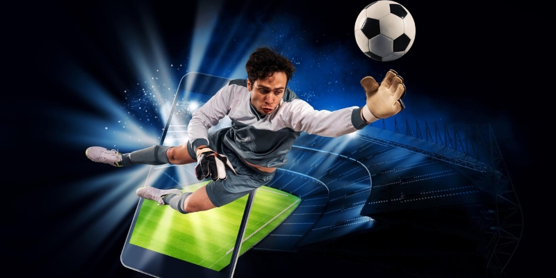 Hướng dẫn tham gia cá cược chuẩn nhất