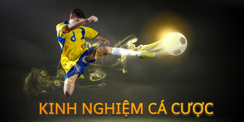 Tầm quan trọng của kinh nghiệm cá cược